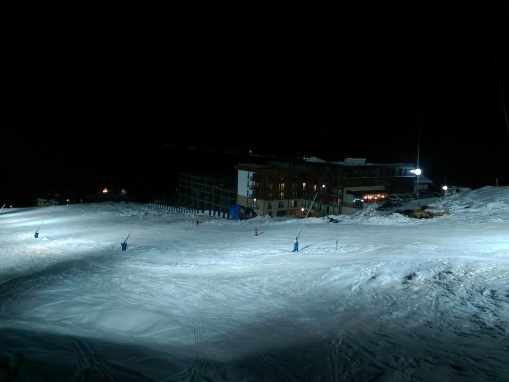 Апарт-отели Nightski Room Gudauri Hotel Loft Гудаури